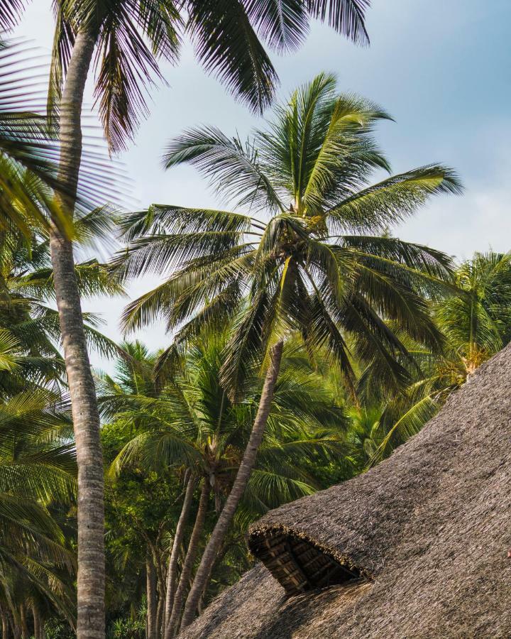 Diani Sea
